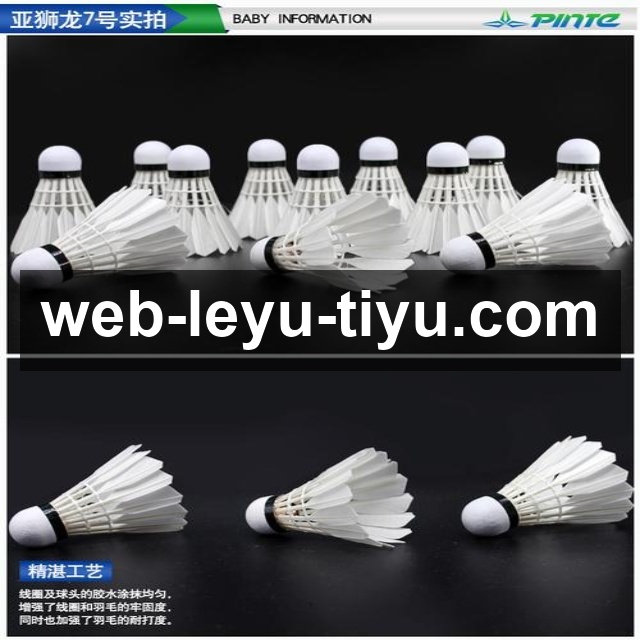 聚焦网球最新赛事发展趋势与世界顶级赛场精彩看点解析