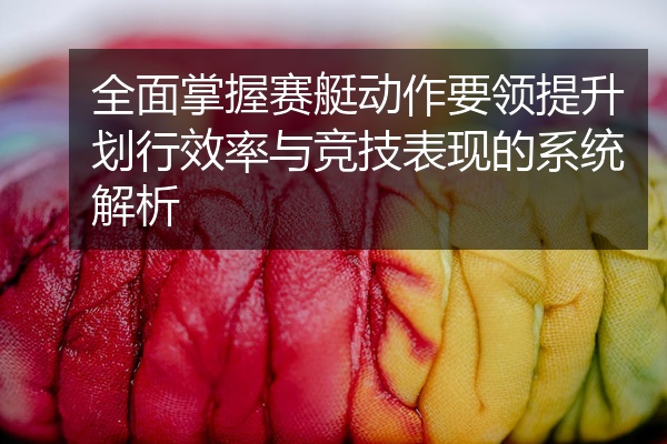 全面掌握赛艇动作要领提升划行效率与竞技表现的系统解析